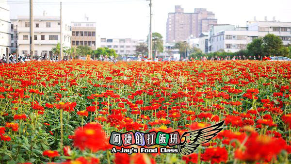 21紅花.JPG