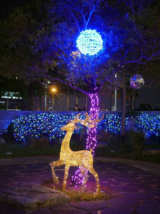 圖 高雄 前鎮-夢時代 聖誕樹點燈&銀河庭園