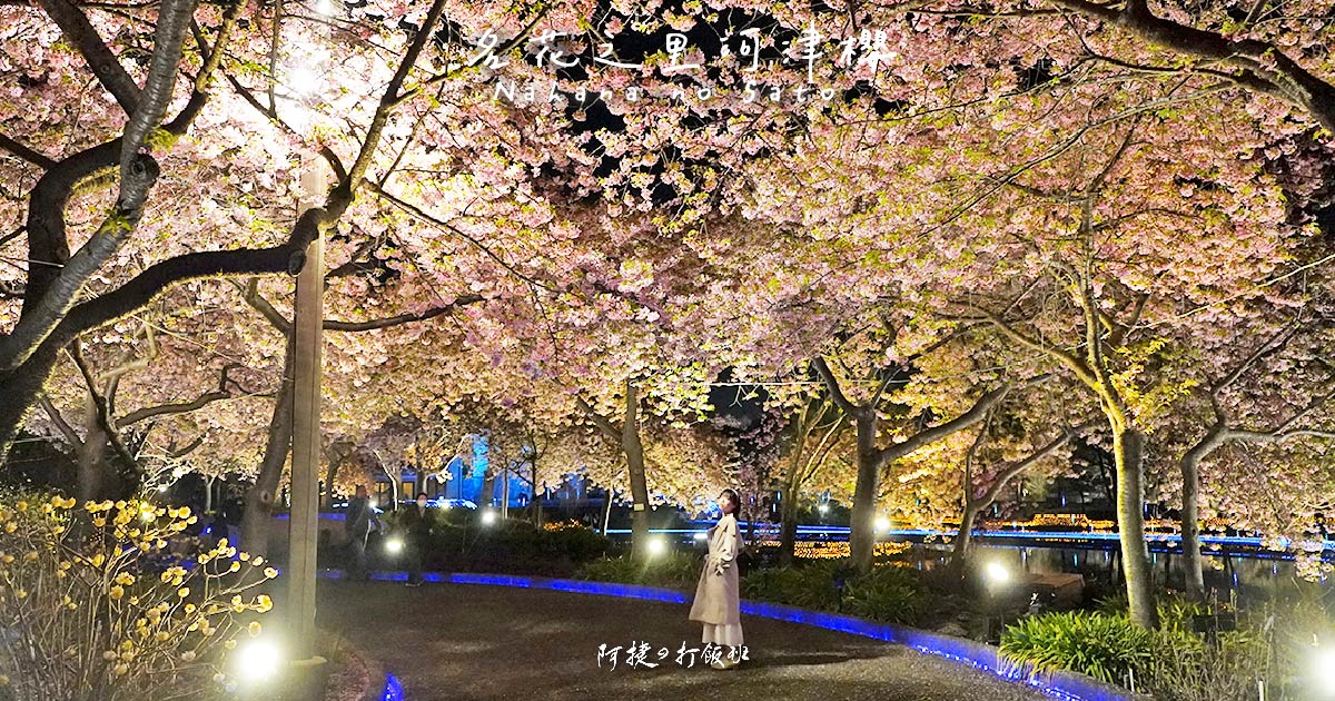[遊記] 名花之里櫻花祭 300棵河津櫻夜間限定點燈