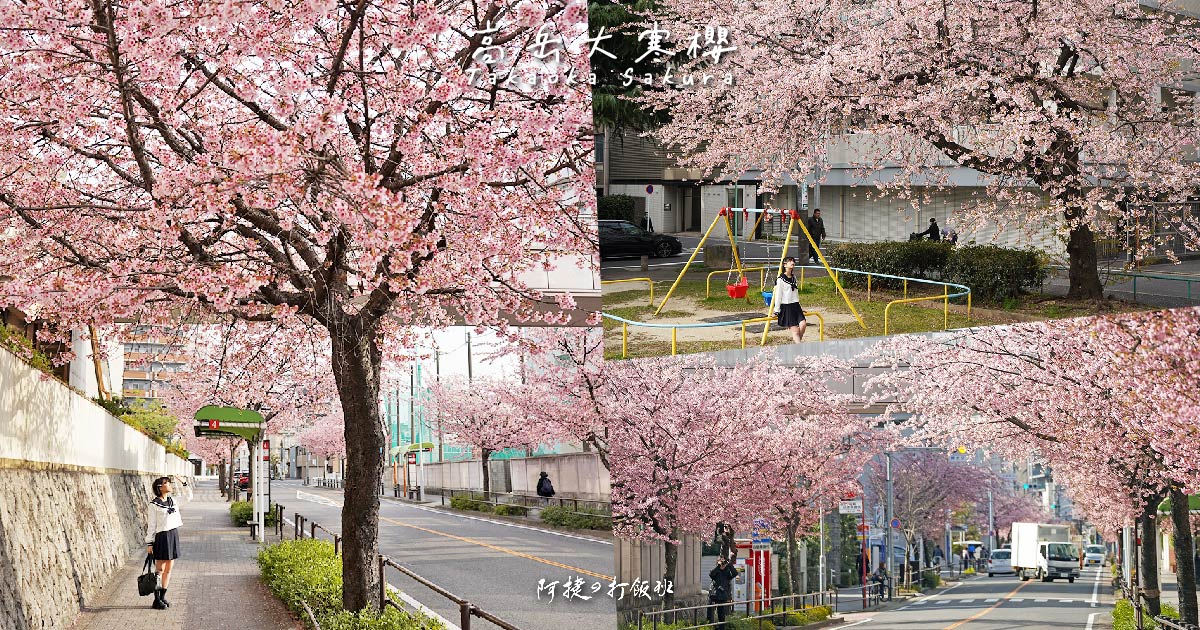 [遊記] 名古屋 高岳大寒櫻 市區早開櫻花正滿開中
