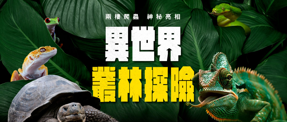 2025年高雄6月活動懶人包 – 市集/節慶/文化/觀光/運動/親子/展覽/端午節 - 第47張圖