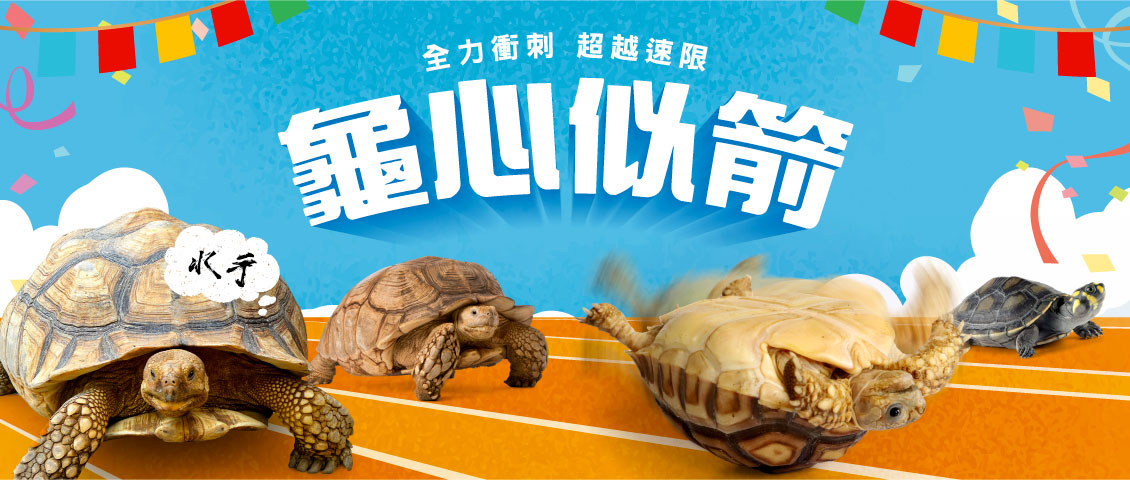 2025年高雄6月活動懶人包 – 市集/節慶/文化/觀光/運動/親子/展覽/端午節 - 第49張圖