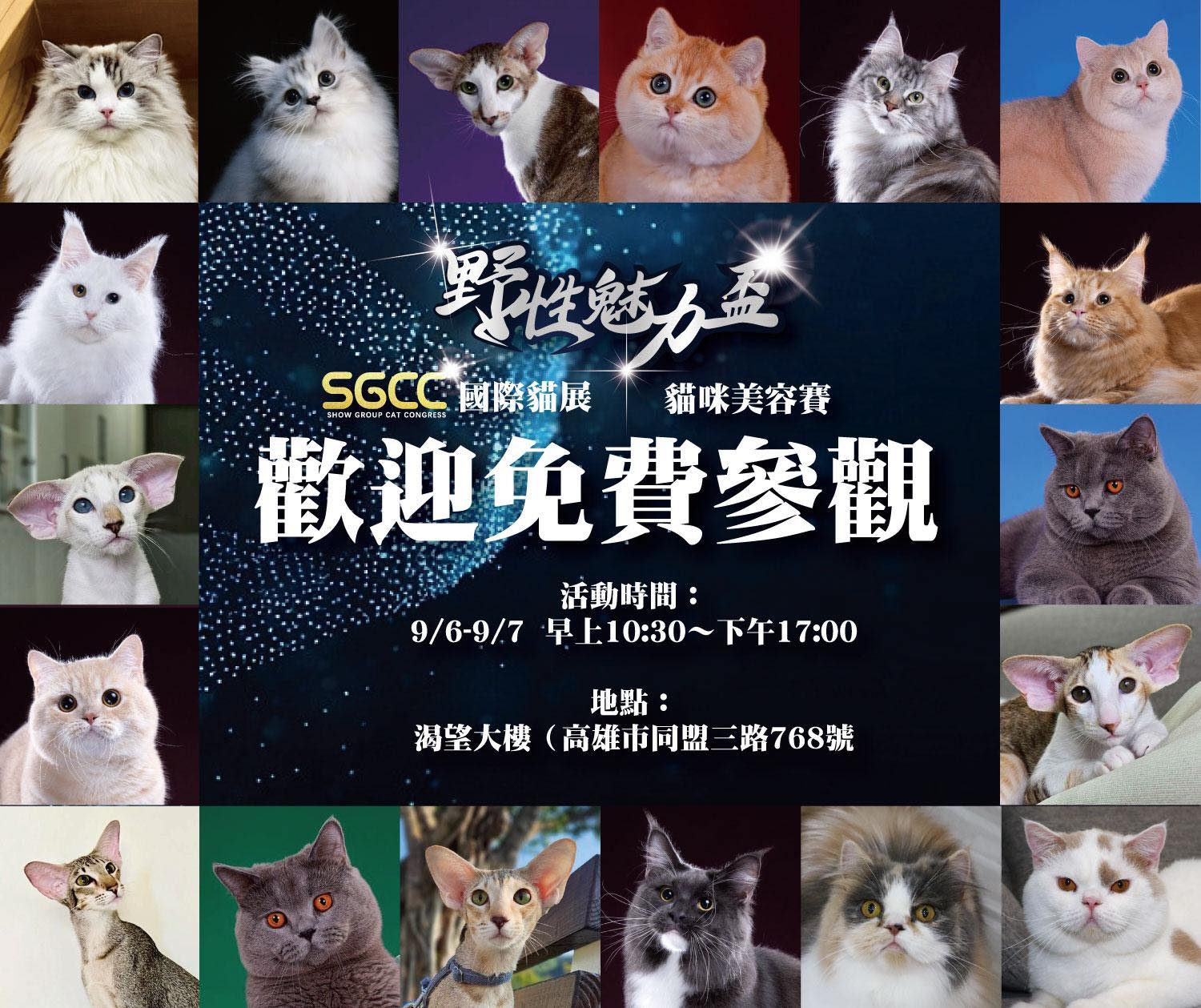 2025年高雄9月活動懶人包 – 市集/節慶/文化/觀光/運動/親子/展覽/熱氣球 - 第5張圖