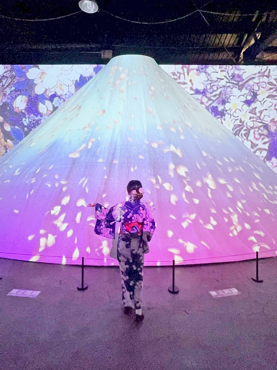 [高雄 鹽埕] 會動的浮世繪展 日本藝術絕代之華 高雄場 一起穿和服穿越江戶時代 感受數位藝術之旅吧 駁二藝術特區