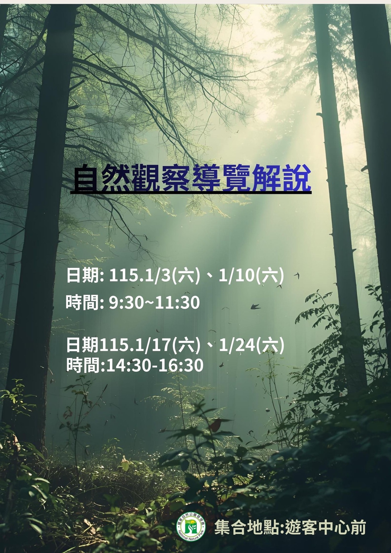 2026年高雄1月活動懶人包 – 市集/節慶/文化/觀光/運動/親子/展覽/元旦 - 第14張圖 2026年高雄1月活動懶人包 – 市集/節慶/文化/觀光/運動/親子/展覽/元旦