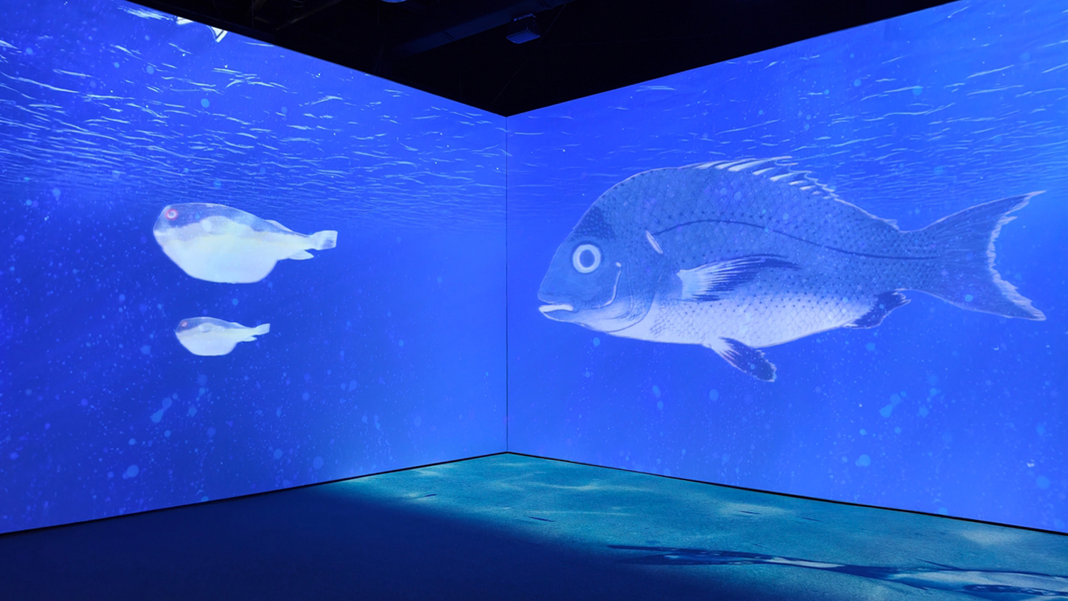 [高雄 鹽埕] 會動的浮世繪展 日本藝術絕代之華 高雄場 一起穿和服穿越江戶時代 感受數位藝術之旅吧 駁二藝術特區