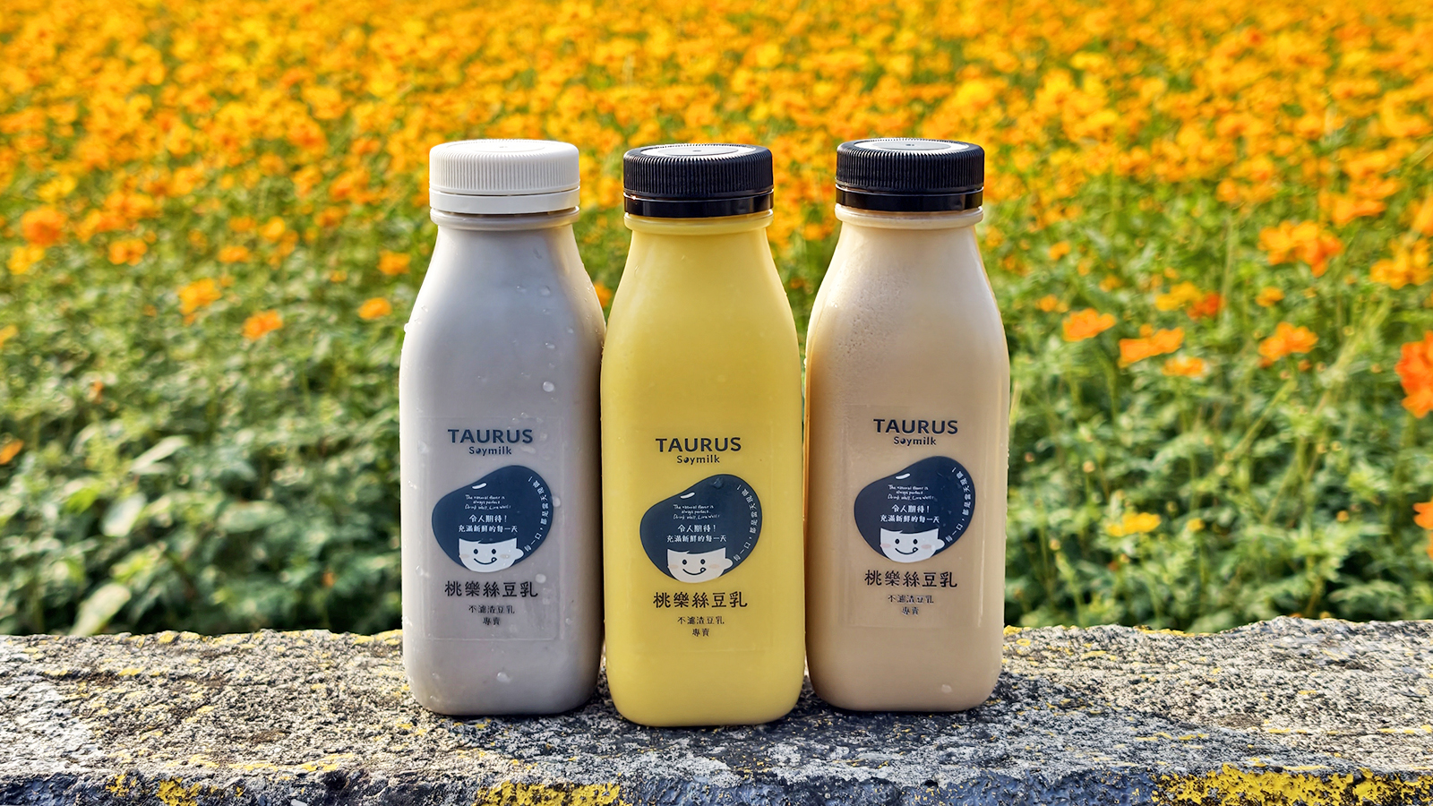 [高雄苓雅] 桃樂絲豆乳 34種口味現打豆乳 不濾渣全食物概念 文化中心旁健康系飲品