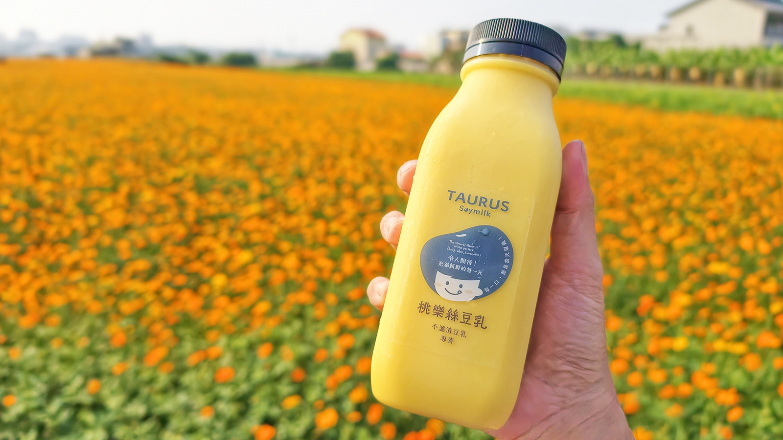 [高雄苓雅] 桃樂絲豆乳 34種口味現打豆乳 不濾渣全食物概念 文化中心旁健康系飲品