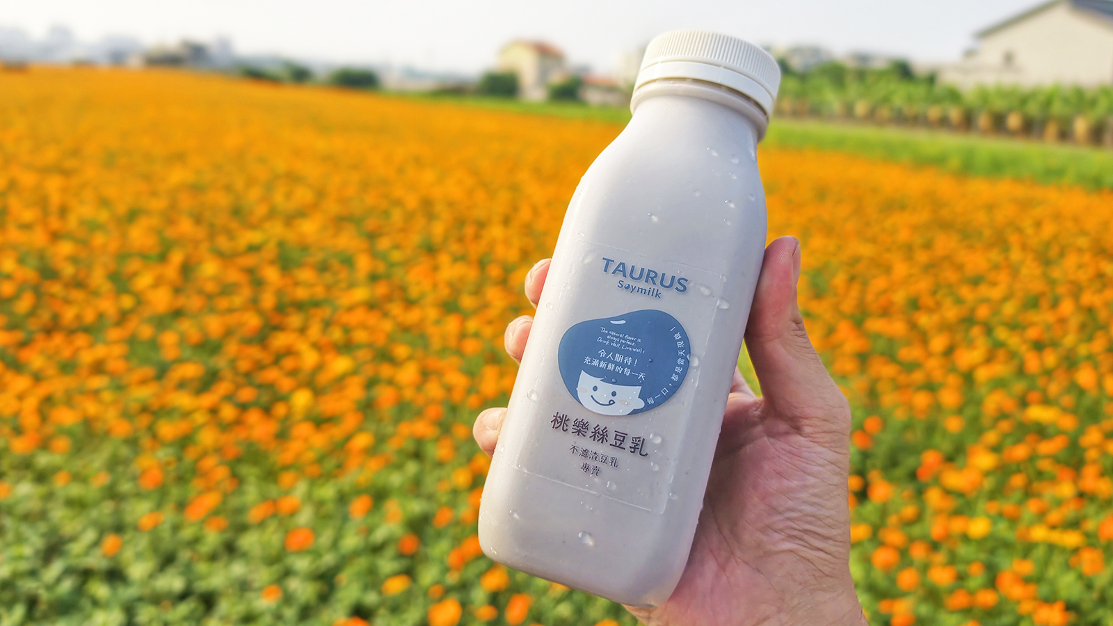 [高雄苓雅] 桃樂絲豆乳 34種口味現打豆乳 不濾渣全食物概念 文化中心旁健康系飲品