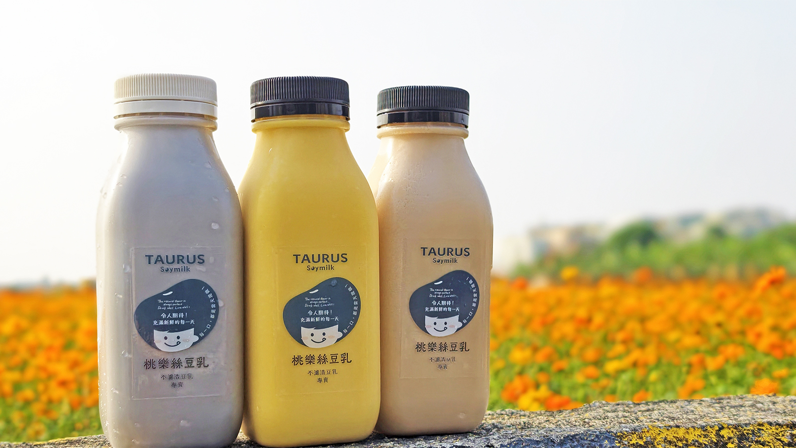 [高雄苓雅] 桃樂絲豆乳 34種口味現打豆乳 不濾渣全食物概念 文化中心旁健康系飲品