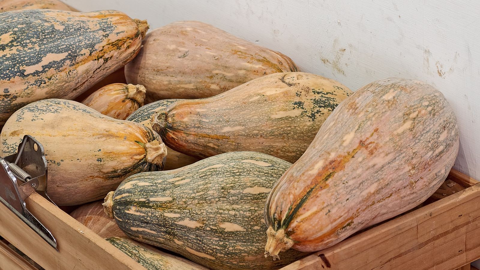 [高雄苓雅] 桃樂絲豆乳 34種口味現打豆乳 不濾渣全食物概念 文化中心旁健康系飲品