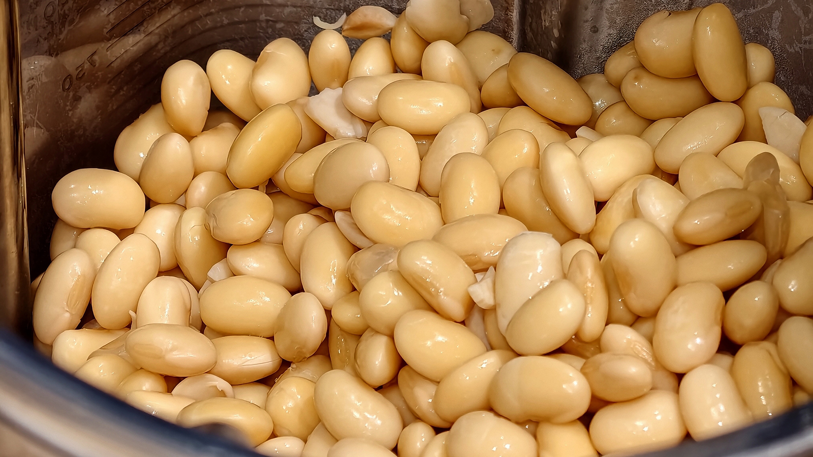 [高雄苓雅] 桃樂絲豆乳 34種口味現打豆乳 不濾渣全食物概念 文化中心旁健康系飲品