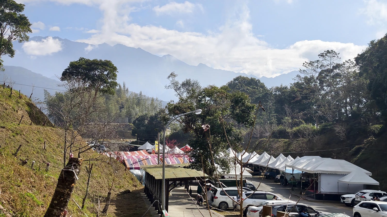 2026桃源櫻花季 寶山二集團櫻花公園 全台最早櫻花綻放 高雄第一的賞櫻聖地 桃源咖啡/山茶美食美景一日遊