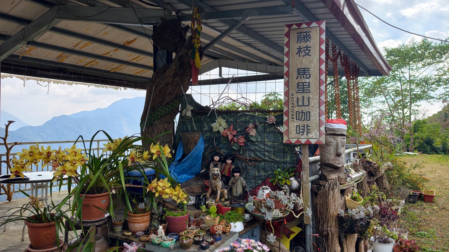 2026桃源櫻花季 寶山二集團櫻花公園 全台最早櫻花綻放 高雄第一的賞櫻聖地 桃源咖啡/山茶美食美景一日遊