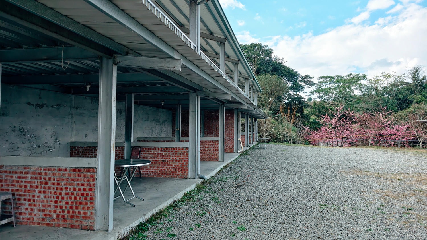 2026桃源櫻花季 寶山二集團櫻花公園 全台最早櫻花綻放 高雄第一的賞櫻聖地 桃源咖啡/山茶美食美景一日遊