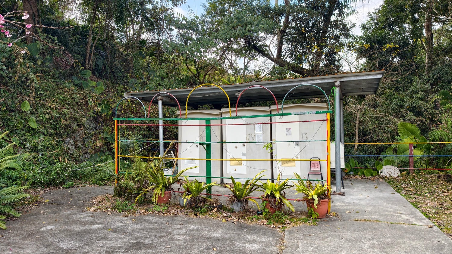 2026桃源櫻花季 寶山二集團櫻花公園 全台最早櫻花綻放 高雄第一的賞櫻聖地 桃源咖啡/山茶美食美景一日遊