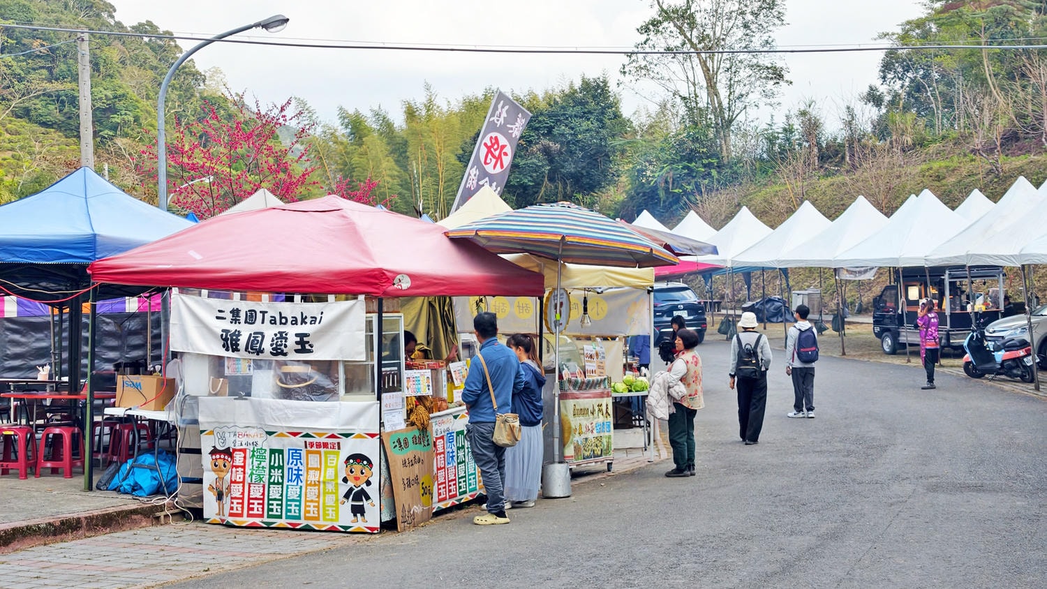 2026桃源櫻花季 寶山二集團櫻花公園 全台最早櫻花綻放 高雄第一的賞櫻聖地 桃源咖啡/山茶美食美景一日遊