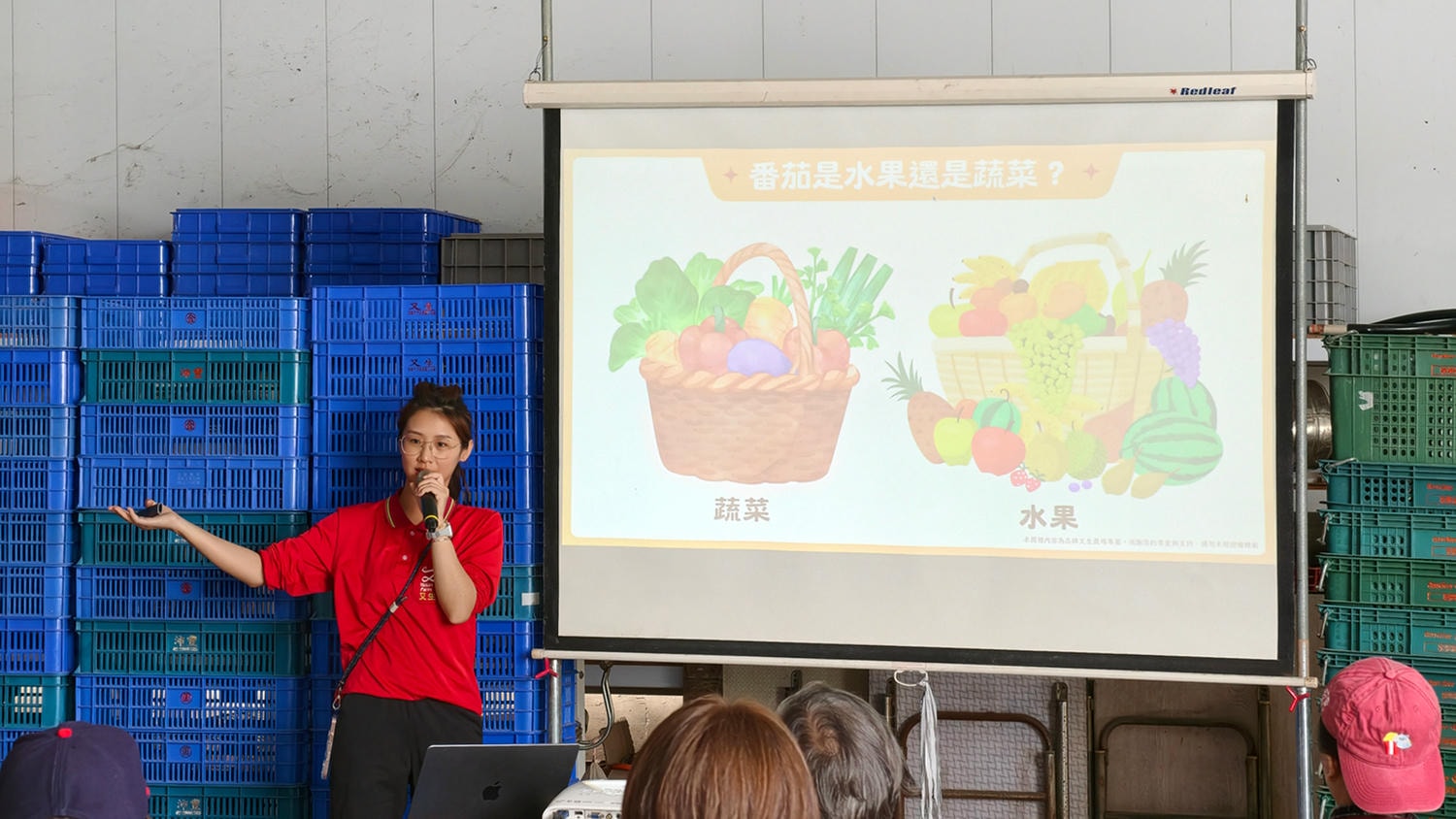 [高雄 美濃] 又生農場 32款小果番茄大品嚐 跟著青農趣產地 美濃風味篇