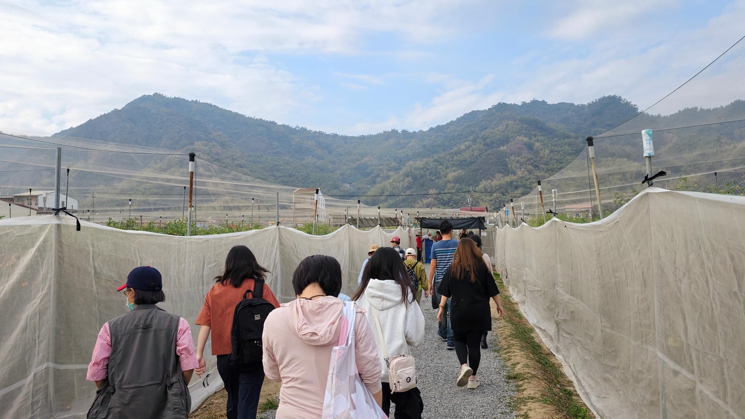 [高雄 美濃] 又生農場 32款小果番茄大品嚐 跟著青農趣產地 美濃風味篇