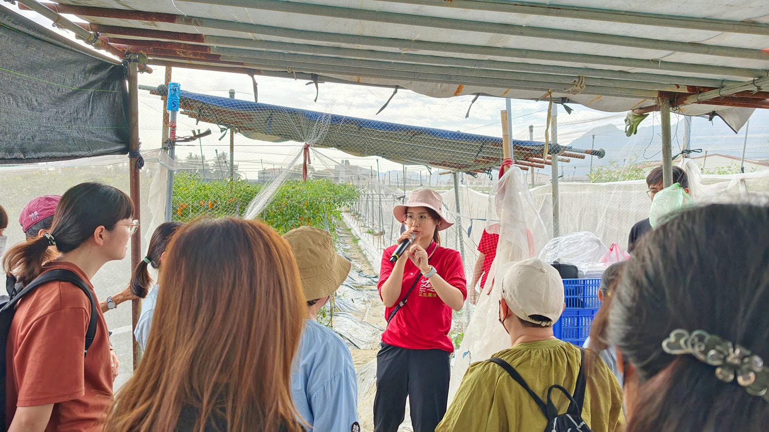 [高雄 美濃] 又生農場 32款小果番茄大品嚐 跟著青農趣產地 美濃風味篇