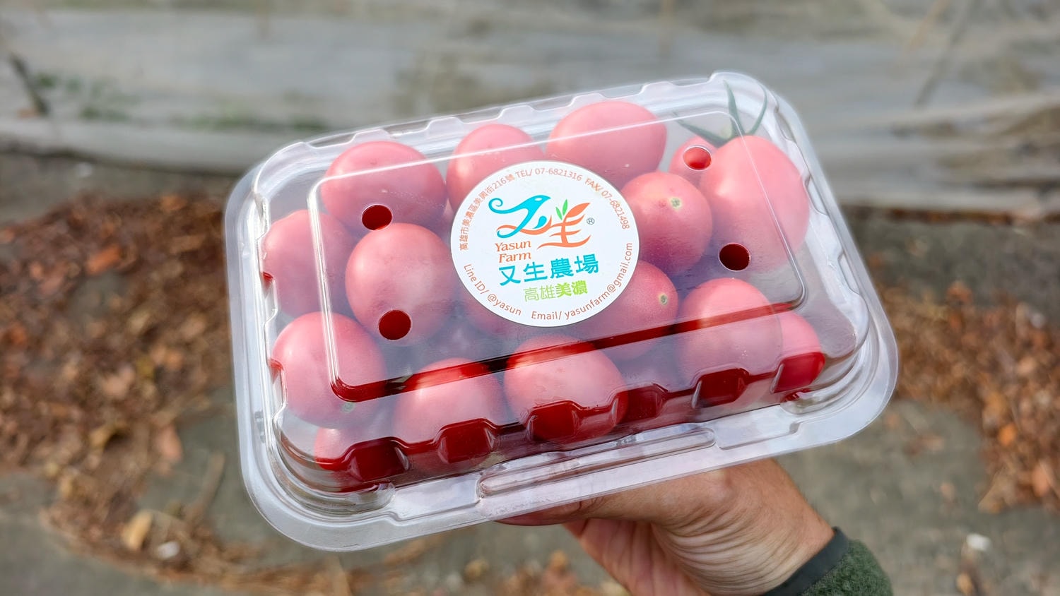 [高雄 美濃] 又生農場 32款小果番茄大品嚐 跟著青農趣產地 美濃風味篇