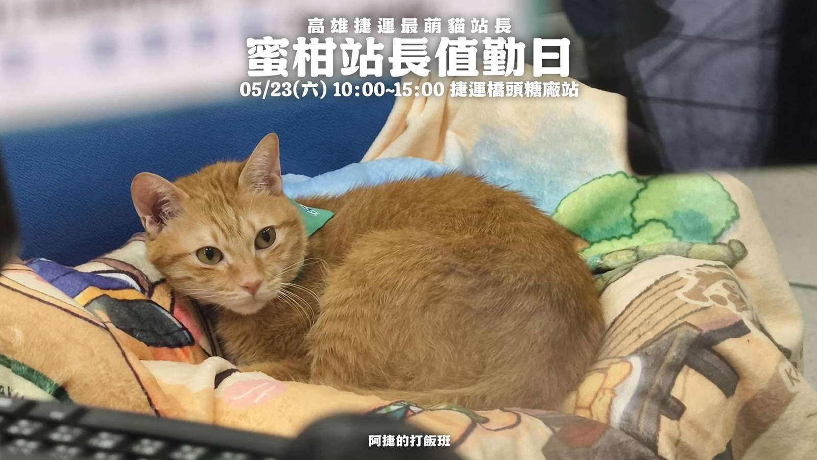 2026年高雄5月活動懶人包 – 市集/節慶/文化/觀光/運動/親子/展覽/賞花/勞動節/母親節